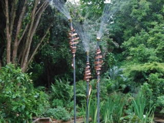 Bulrushes Water feature